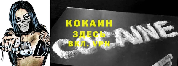индика Балахна