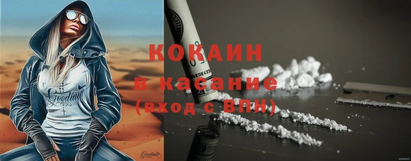 индика Балахна