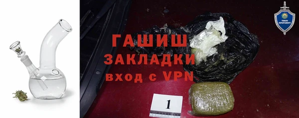 индика Балахна