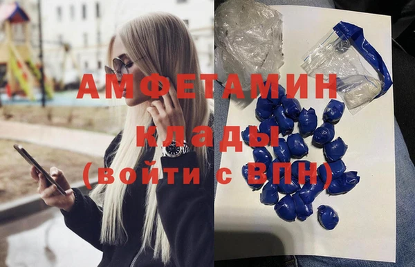 индика Балахна