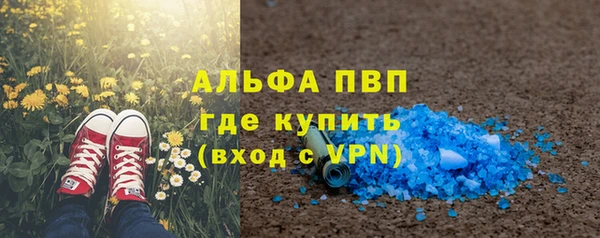 индика Балахна
