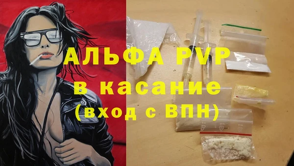 индика Балахна