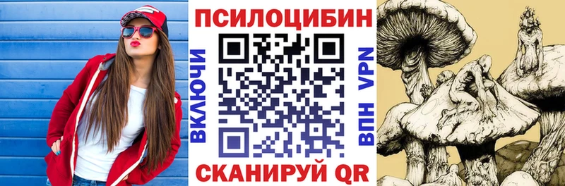 где купить наркотик  Покровск  Галлюциногенные грибы мухоморы 